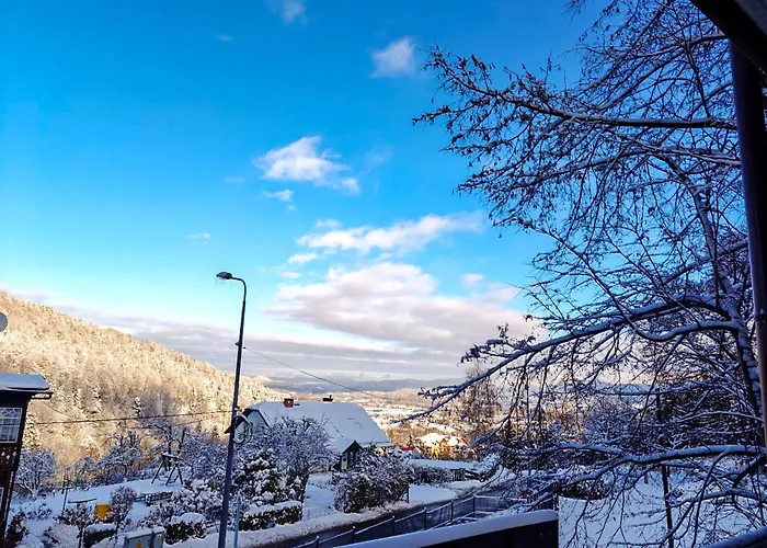 Widokowy Karpatia Z Garazem, 3 * كارباش