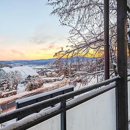 Widokowy Karpatia Z Garazem, 3