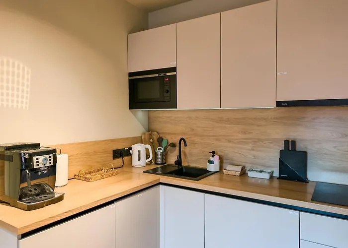 Widokowy Karpatia Z Garazem, 3 カルパッチ